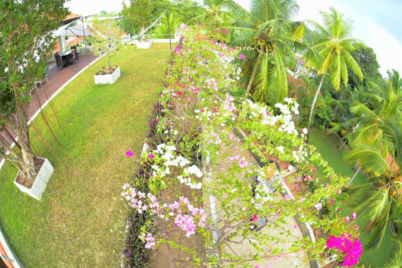 Tropical House - Jungleside Villa Hikkaduwa Ngoại thất bức ảnh